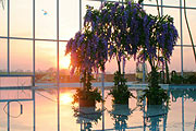 Therme Erding SPA Welt Neue Therme & Saunen eröffnete am 31.03.2007 {Foto: Martin Schmitz)